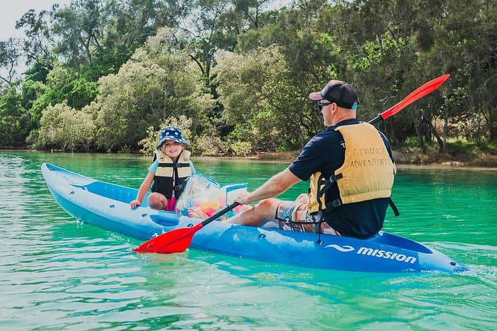 Paddle the Mangrove Estuary: Daytime Kayak Eco Tour near Coffs Harbour photo 4