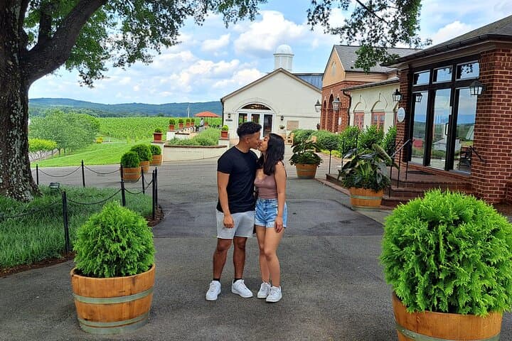 Charlottesville Tesla Wine Tours on Nelson 151: Private Wine, Brewery & Cidery Circuit photo 4