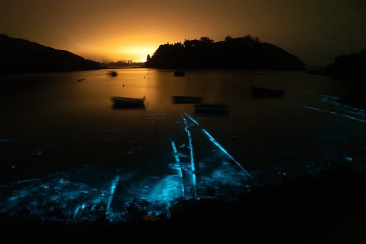 Night Swim with Bioluminescence in West Cork: Gealach an Fharraige Experience photo 6