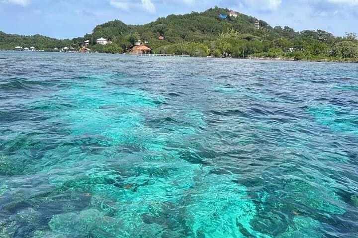 Private 4-Hour Roatan Island Tour — Sloths, Rum & Beach Breaks photo 6