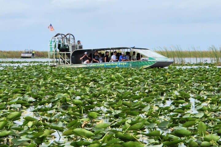 Everglades Airboat Tour from Miami — Alligators, Wildlife & Roundtrip Bus Transfer