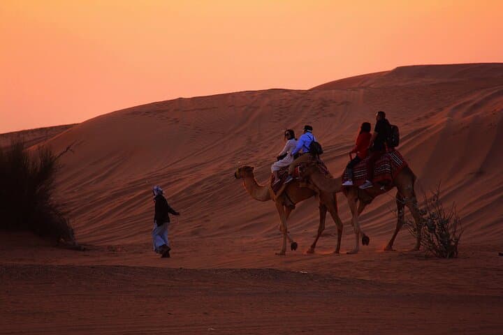 Camel Ride West of Luxor — Sunset Dunes & Theban Temple Views photo 3