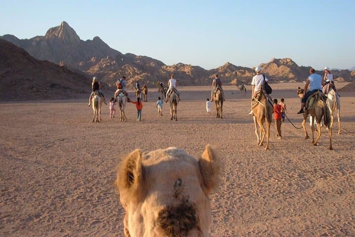Camel Ride West of Luxor — Sunset Dunes & Theban Temple Views photo 6