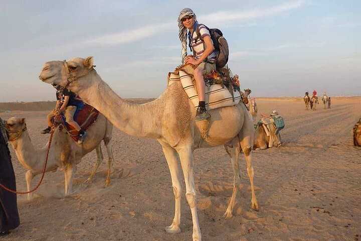 Camel Ride West of Luxor — Sunset Dunes & Theban Temple Views photo 2