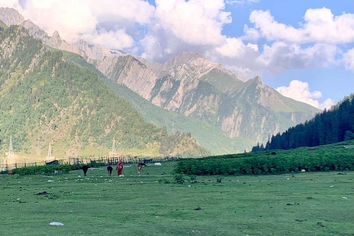 kashmir-in-6-days-private-guided-tour-from-delhi-to-srinagar-gulmarg-sonamarg photo 3