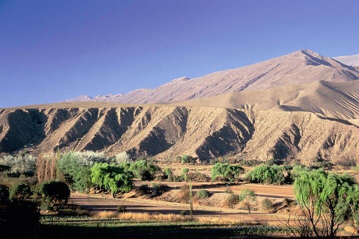 Salta Super Saver: 5-Day Cafayate & Humahuaca Combo with Transfers and Salta Walking Tour photo 6
