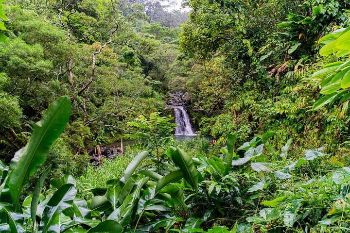 vip-private-road-to-hana-full-day-tour-from-wailea-kihei
