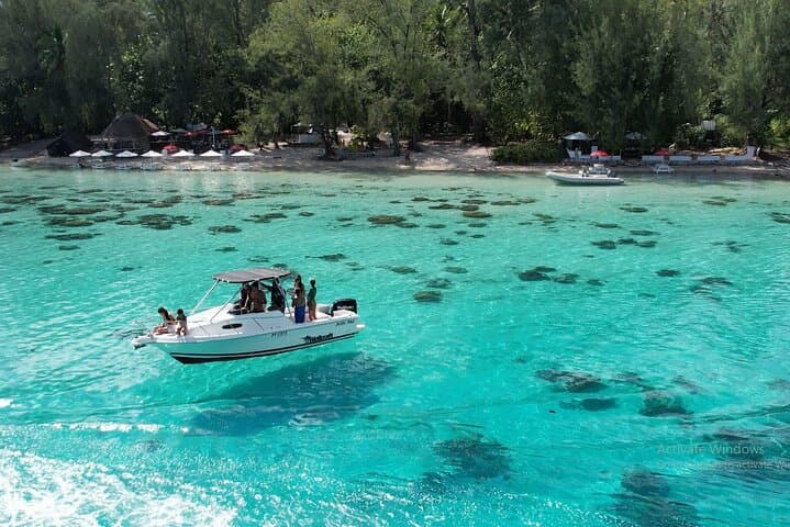 Private Moorea Boat Tour: 6-Hour Snorkel, Lunch & Lagoon Wildlife photo 5