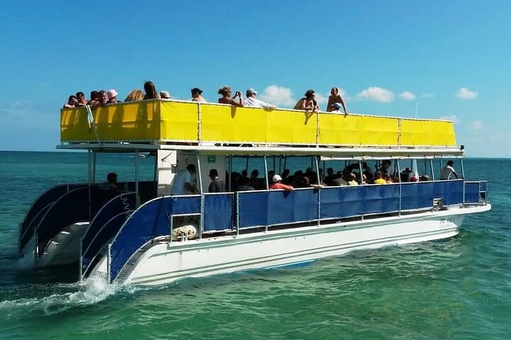 Contoy Reef and Isla Mujeres Day Trip from Cancun & Playa del Carmen — Snorkel, Birding & Beach photo 4