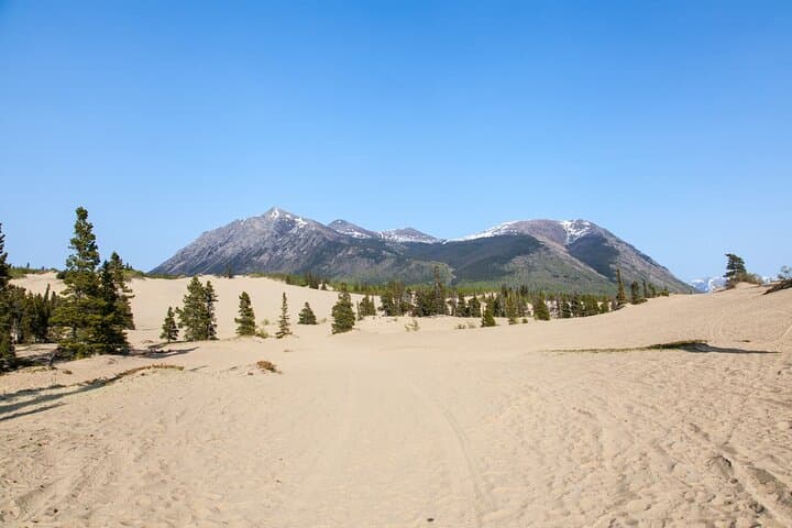 Yukon Escapade Private Tour from Skagway: Tutshi, Tagish, Carcross & Emerald Lake photo 2