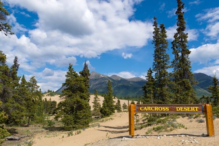 Yukon Escapade Private Tour from Skagway: Tutshi, Tagish, Carcross & Emerald Lake photo 3