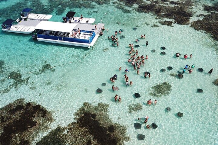 Stingray City Antigua: Swim with Stingrays on a 3‑Hour Round‑Trip Tour photo 6
