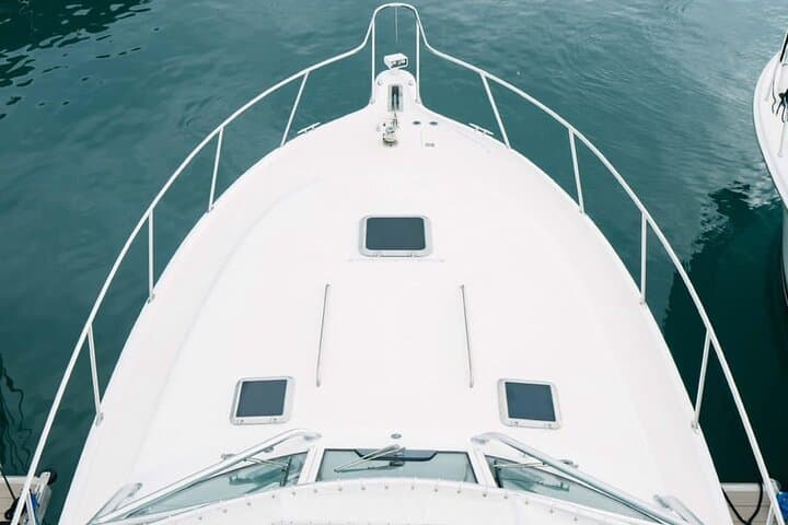 Private Tiara Yacht Half-Day in Gulf of Papagayo: Snorkel, Fish & Beach Hop photo 3