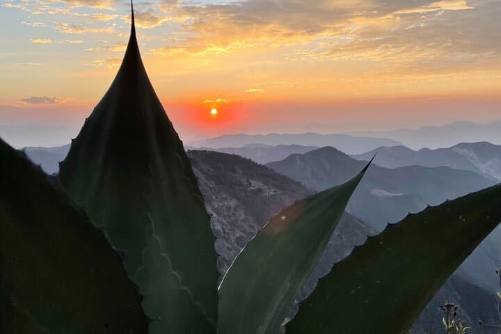 Two-Day Adventure: Pinal de Amoles Waterfalls & Peña de Bernal Sunrise Climb photo 6