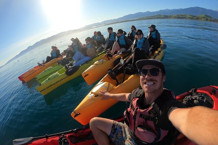 Seal Kayaking in Kaikoura — Pedal Kayak with New Zealand Fur Seals photo 6