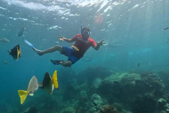 Private Trimaran Snorkel Tour to El Arco — Cabo San Lucas Boat Trip photo 3