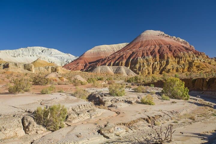 One-Day Express to Altyn Emel: Singing Dunes and Aktau White Mountains photo 6