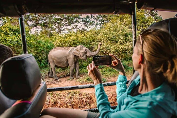 Yala National Park Safari from Tangalle: Full-Day Leopard & Wildlife Jeep Safari photo 2
