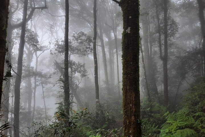 14-Day Java to Bali Private Tour: Volcanoes, Temples & Blue Fire photo 3