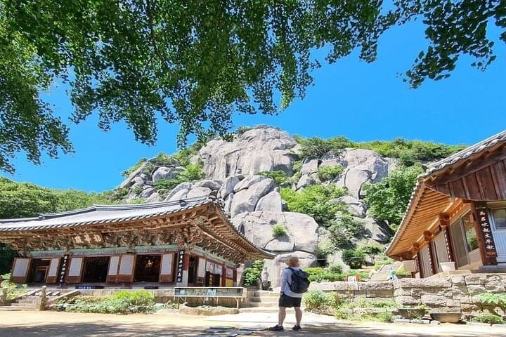 Busan Geumjeongsan Private Hiking Tour: Panoramic Views & Beomeosa Temple photo 4