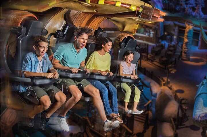 Motiongate Dubai Tickets with Private Transfer — Full-Day Theme Park Pass photo 5