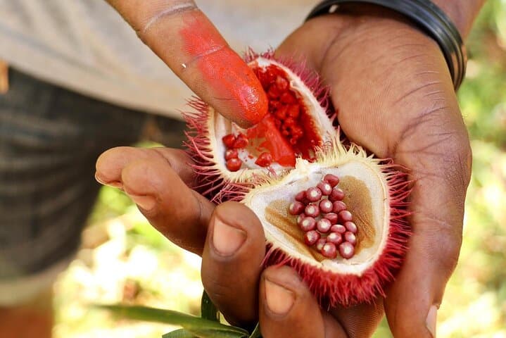Prison Island, Stone Town & Spice Farm: Full-Day Private Tour in Zanzibar photo 2