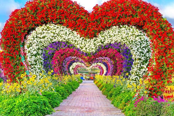 Dubai Miracle Garden: Practical Guide to Visiting the World's Largest Flower Display photo 2