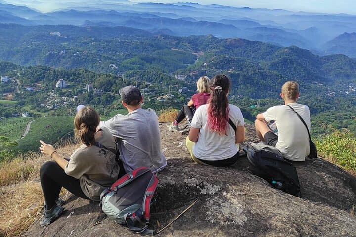 Half-Day Munnar Tea Plantation Hike — Guided Trek to Anaimudi Views