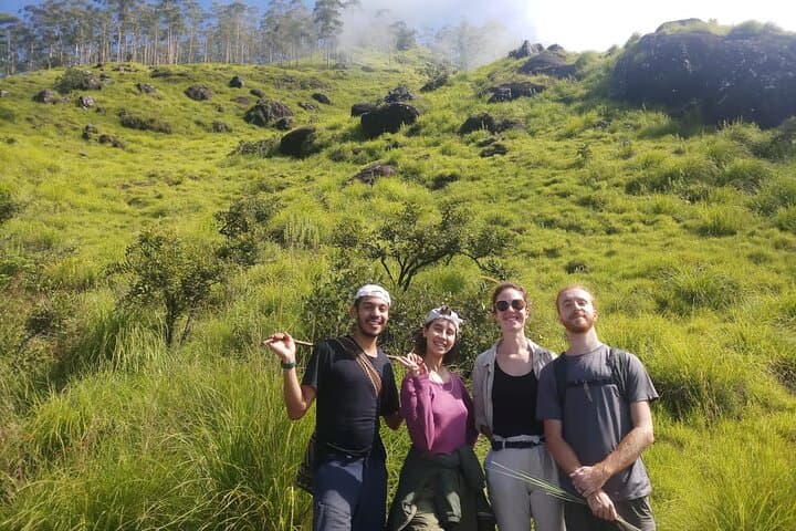 Half-Day Munnar Tea Plantation Hike — Guided Trek to Anaimudi Views photo 3