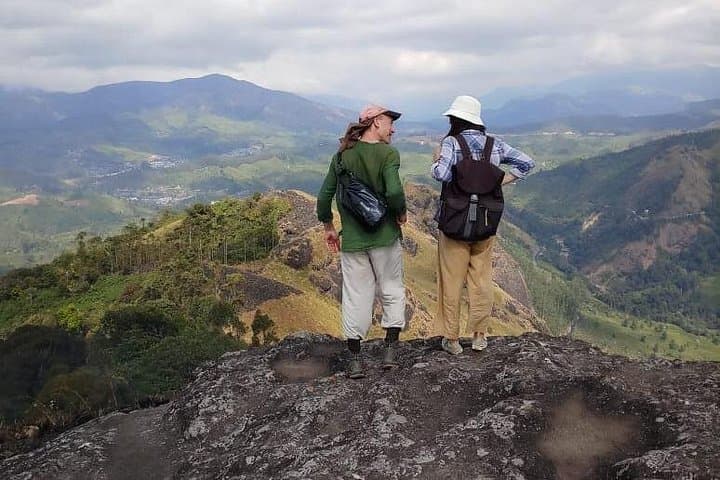 Half-Day Munnar Tea Plantation Hike — Guided Trek to Anaimudi Views photo 4