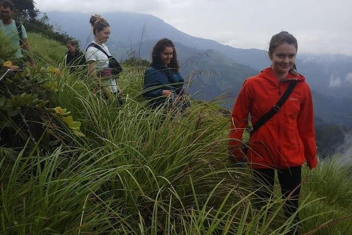 Half-Day Munnar Tea Plantation Hike — Guided Trek to Anaimudi Views photo 5