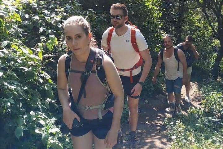 Half-Day Munnar Tea Plantation Hike — Guided Trek to Anaimudi Views photo 6