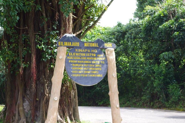 8-Day Lemosho Route: Climb Mount Kilimanjaro via the South Circuit photo 3