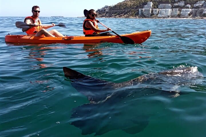 Clifton Beach Kayak Adventure — Clifton 4th Beach to Maiden's Cove, Cape Town photo 6