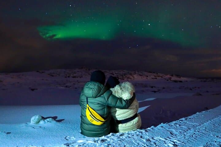 Golden Circle and Northern Lights: Full-Day Tour from Reykjavik photo 4