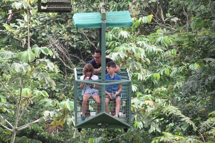 Gamboa Aerial Tram and Sloth Sanctuary: Rainforest Canopy Views & Wildlife