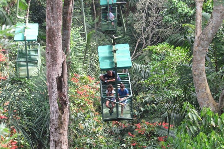 Gamboa Aerial Tram and Sloth Sanctuary: Rainforest Canopy Views & Wildlife photo 3