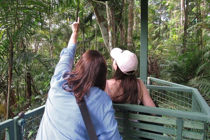 Gamboa Aerial Tram and Sloth Sanctuary: Rainforest Canopy Views & Wildlife photo 5