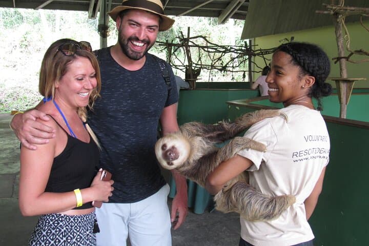 Gamboa Aerial Tram and Sloth Sanctuary: Rainforest Canopy Views & Wildlife photo 4
