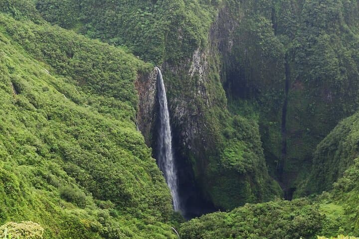 Bélouve Rainforest Hike to Trou de Fer Waterfall — Réunion Island photo 4