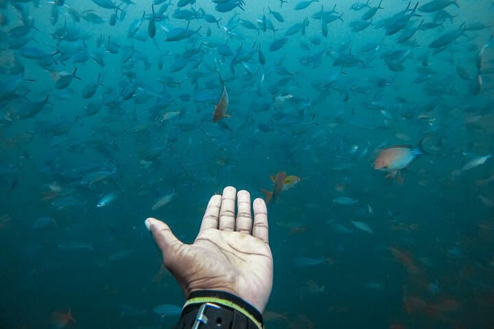 Discover SCUBA Diving in Unawatuna Bay — Introductory Dive to Rock Island photo 6