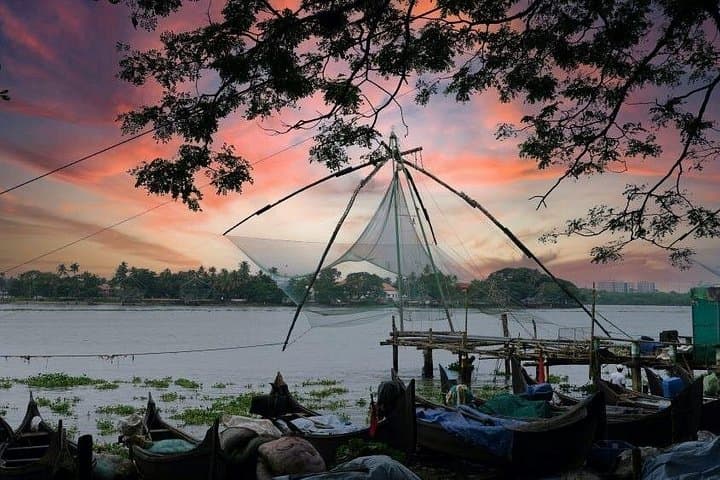 6-Day Private Kerala Tour from Kochi: Backwaters, Periyar & Spice Villages photo 1