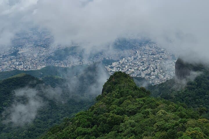 Summit Tijuca Peak: Rio's Highest Park Mountain Hike & Waterfall Swim photo 5