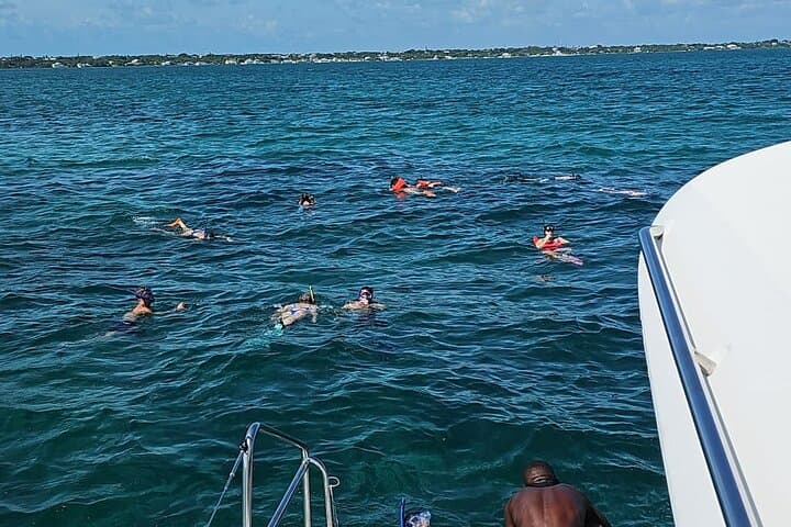 Catamaran to Pig Beach: Snorkel Turtles, Pigs & Lunch from Nassau photo 4