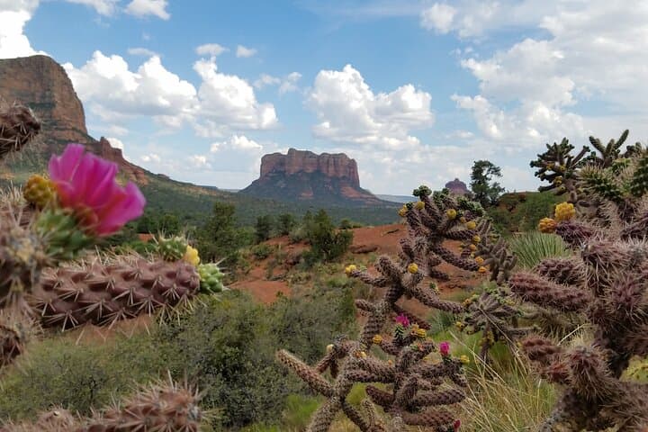 Private Sedona Day Trip from Phoenix or Scottsdale — Red Rock Views & Montezuma Castle photo 1