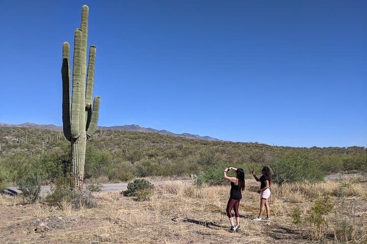 Explore Arizona’s Apache Trail: Private Day Tour with Scenic Canyon Lake Cruise photo 2