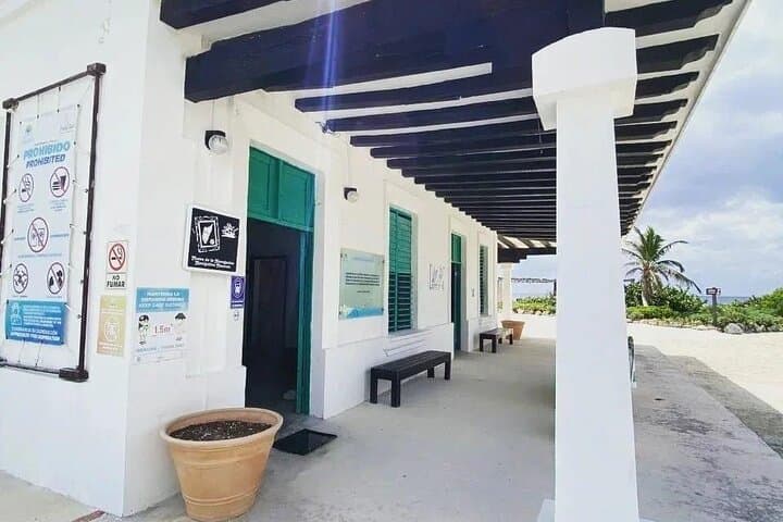 Jeep Tour to Punta Sur & San Gervasio — Cozumel Lighthouse, Lagoons and Reefs photo 5