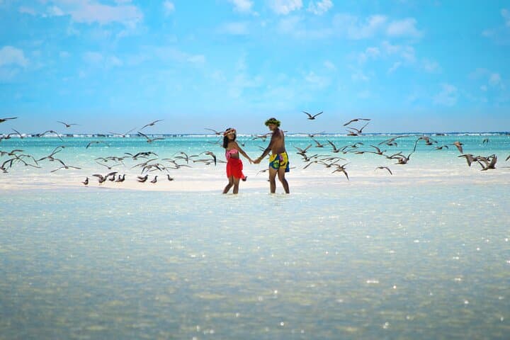 Tetiaroa Catamaran Excursion: Full-Day Snorkel, Lunch & Island Visit from Papeete photo 4