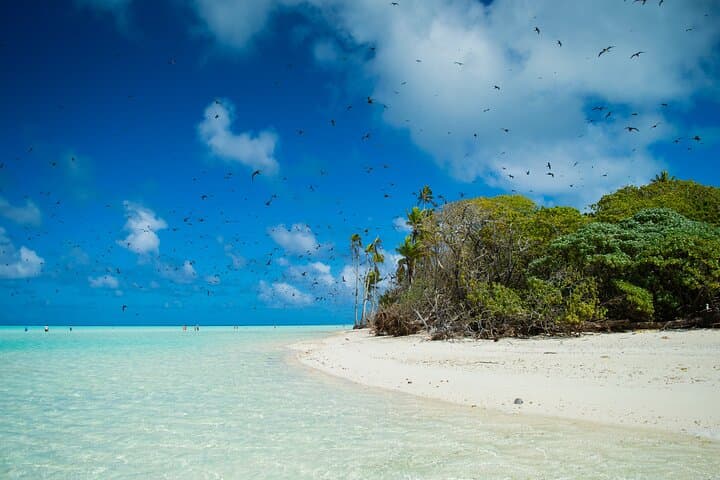 Tetiaroa Catamaran Excursion: Full-Day Snorkel, Lunch & Island Visit from Papeete photo 5