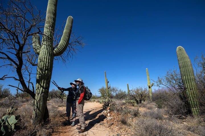 Explore Tucson: Customizable Day Tours from Phoenix to Arizona’s Desert Gems photo 4